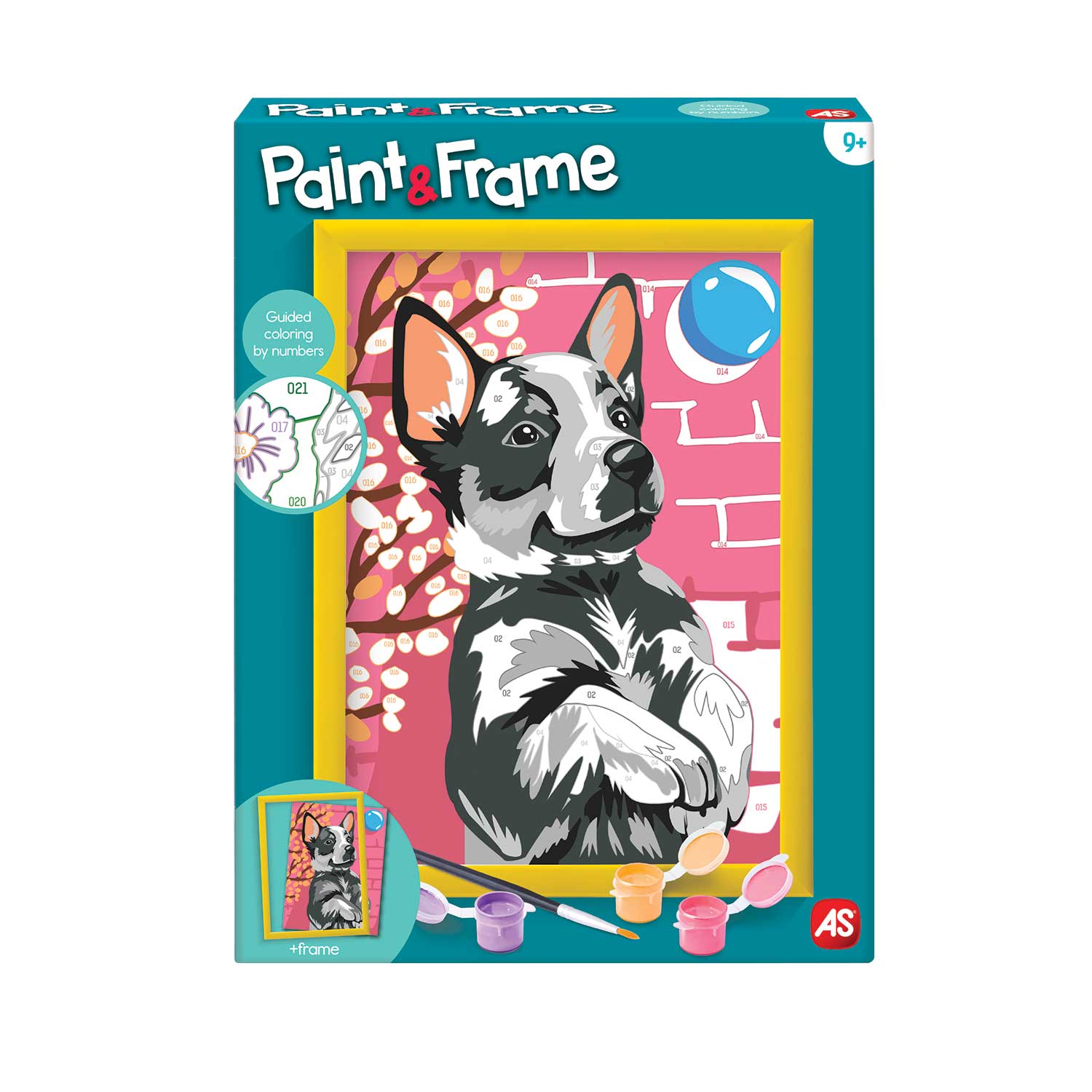 103841013-640606dc444a86a5d177d3ae Paint & Frame | Paint by Numbers - Playful Husky | Για Ηλικίες 9+ Χρονών - Image 1
