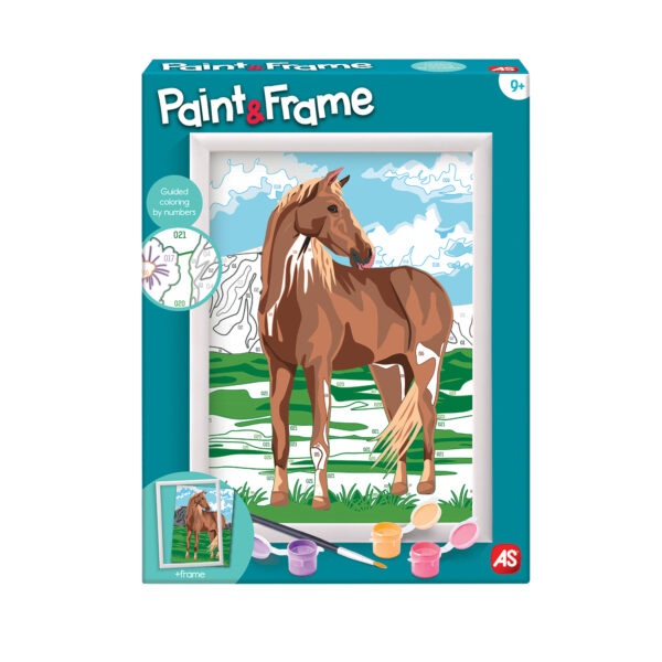 Paint & Frame | Paint by Numbers - Wild Horse | Για Ηλικίες 9+ Χρονών