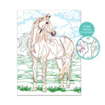 Paint & Frame | Paint by Numbers - Wild Horse | Για Ηλικίες 9+ Χρονών - Image 3