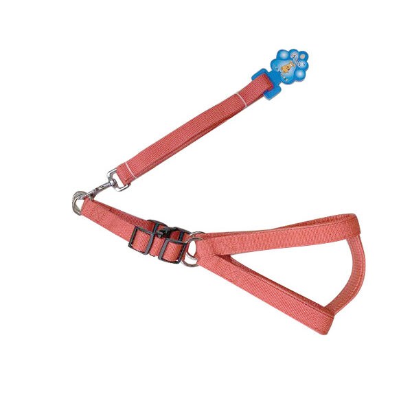 Λουρί - σαμάρι σκύλου 1,5 x 120 εκ