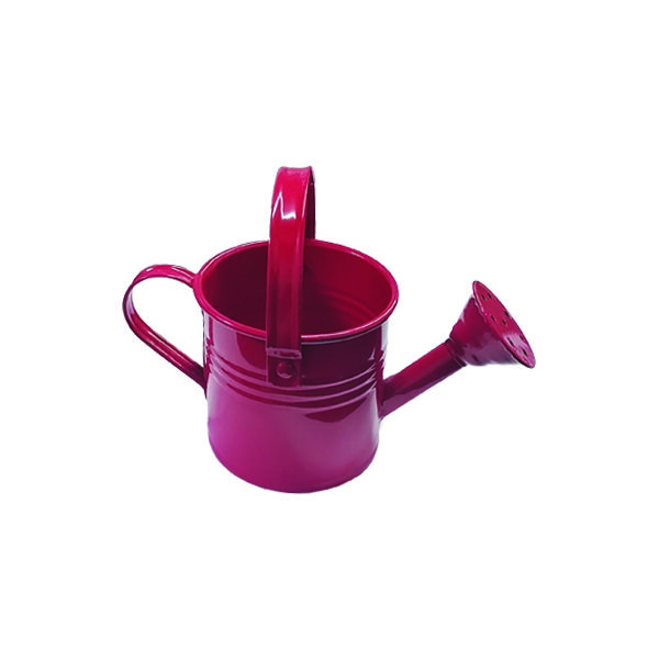 Ποτιστηράκι μεταλλικό 8 x 11cm