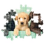 Clementoni Παζλ High Quality Collection Κουταβάκια Λαμπραντόρ 1000 τμχ - Compact Box - Image 2