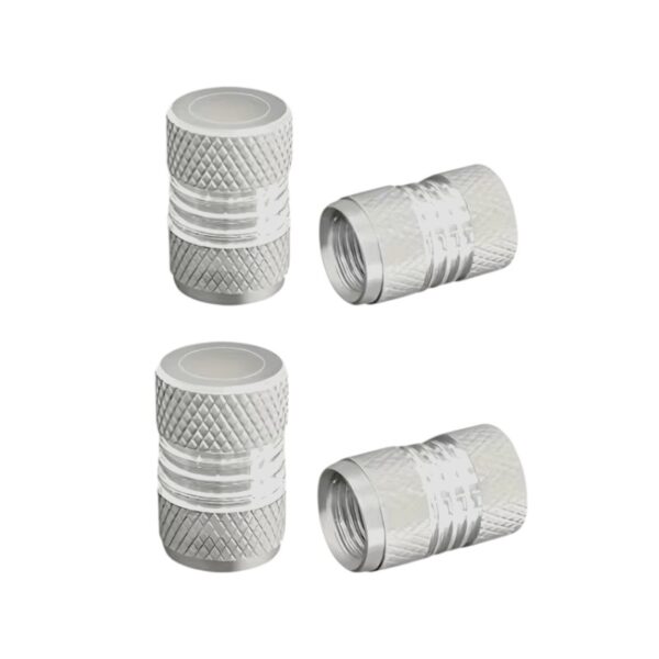 Καπάκι βαλβίδας ελαστικών αυτοκινήτου - R-Z17109-4U - 140526 - Silver