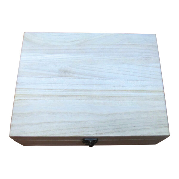 Μεγάλο ξύλινο αλουστράριστο κουτί