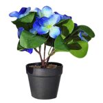 Γλαστράκι Μαύρο Πλαστικό με Χώμα & Λουλούδι Ανοιχτά Φύλλα 22x8cm Homie 423036 - Image 2