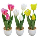 Γλαστράκι 3 Τουλίπες 34cm Homie 423123