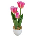 Γλαστράκι 3 Τουλίπες 34cm Homie 423123 - Image 2