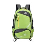 Σακίδιο πλάτης ορειβατικό - 806 - 50L - 251548 - Green