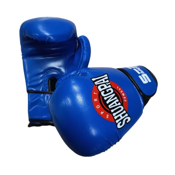 Γάντια πυγμαχίας - 10oz - 290267 - Blue