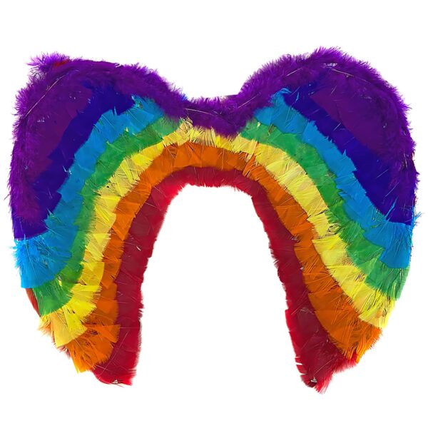 Φτερά Πολύχρωμα 50x35cm Carnavalista 232261