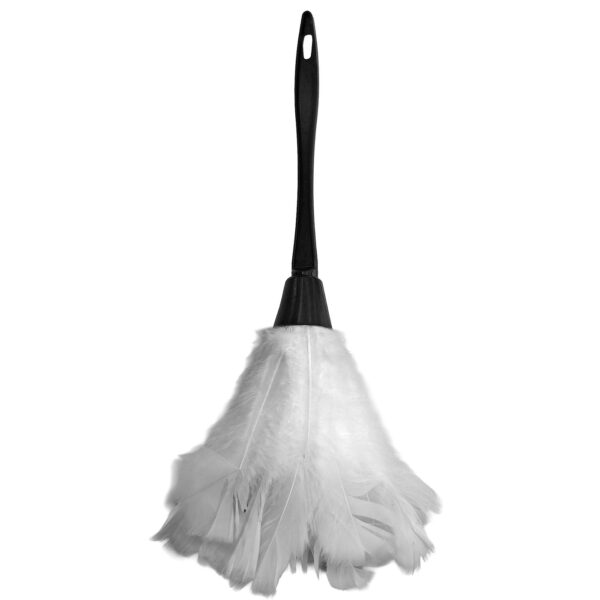 Φτερό Καμαριέρας Ξεσκονιστήρι 37cm Carnavalista 232719