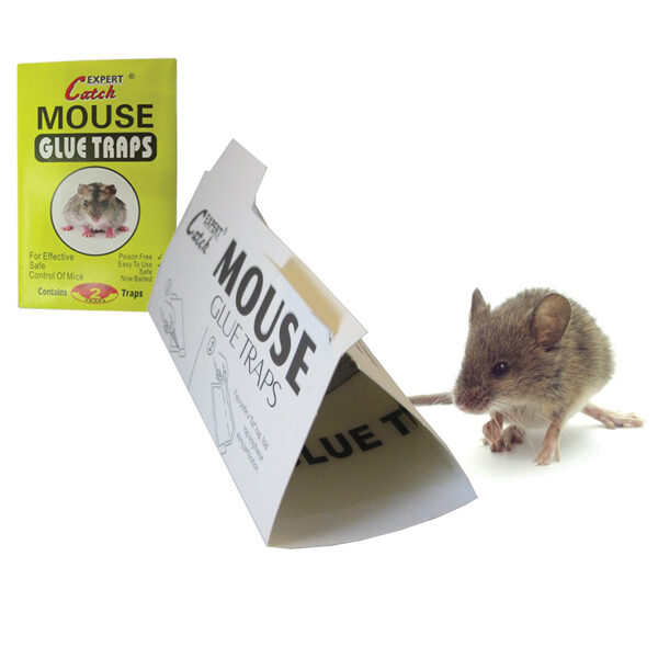 Σετ 2 αυτοκόλλητες ποντικοπαγίδες