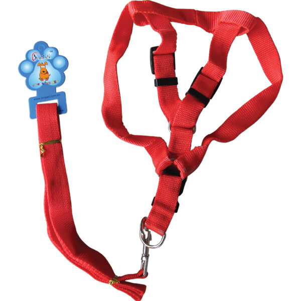 Λουρί-σαμάρι για σκύλο