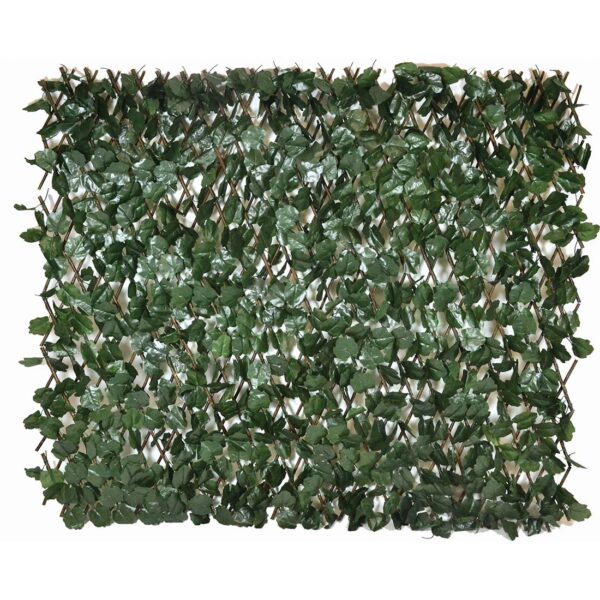 Αναρριχώμενος κισσός σε πράσινο χρώμα 1x2