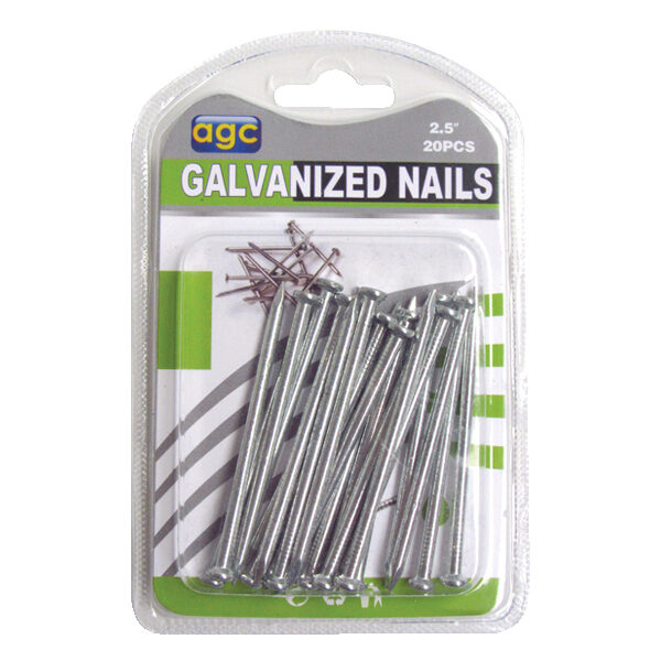 Σετ 20 γαλβανιζέ πρόκες 2,5"