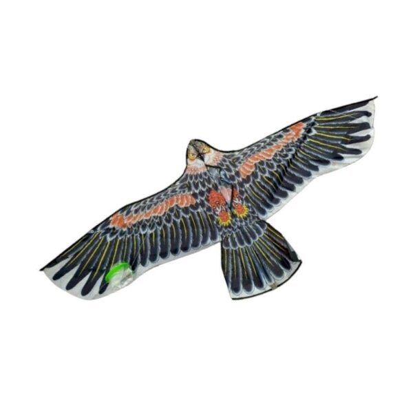 Χαρταετός με σχέδιο - 1.2m - 981027